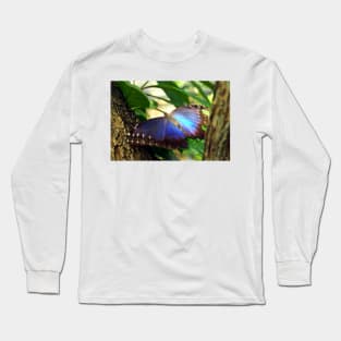 Purple and Blue Butterfly in Tree Long Sleeve T-Shirt